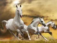 https://arcade-games.space/game/running-horse-slide