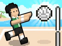 https://arcade-games.space/game/volley-random