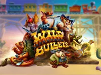 https://arcade-games.space/game/wild-bullets