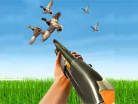 https://arcade-games.space/game/bird-hunting-gun-fire-shooter