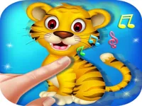 https://arcade-games.space/game/animal-toush-panda