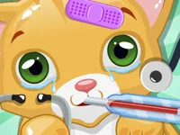 https://arcade-games.space/game/little-cat-doctor