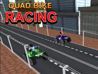 https://arcade-games.space/game/quad-bike-racing