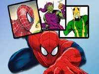 https://arcade-games.space/game/spiderman-match-cards