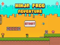 https://arcade-games.space/game/ninja-frog-adventure