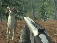 https://arcade-games.space/game/crazy-goat-hunter
