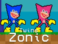 https://arcade-games.space/game/twins-zonic