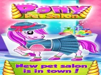 https://arcade-games.space/game/pony-pet-saloon