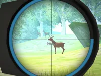 https://arcade-games.space/game/hunter