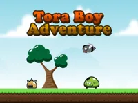https://arcade-games.space/game/tora-boy-adventure