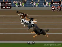 https://arcade-games.space/game/crazy-dog-racing-simulator-games-3d