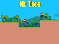 https://arcade-games.space/game/mr-toro