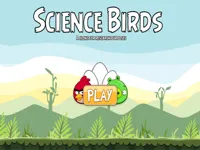 https://arcade-games.space/game/science-birds