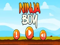 https://arcade-games.space/game/ninja-boy
