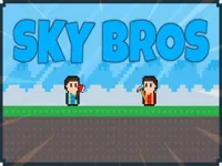 https://arcade-games.space/game/sky-bros