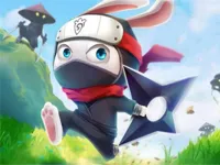 https://arcade-games.space/game/ninja-rabbit