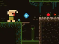 https://arcade-games.space/game/sewage