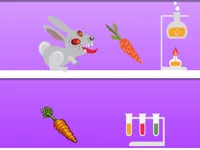 https://arcade-games.space/game/rabid-rabbit