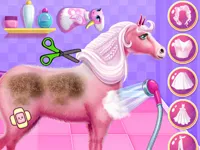 https://arcade-games.space/game/princess-horse-caring