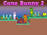 https://arcade-games.space/game/cano-bunny-2