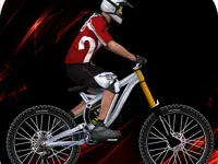 https://arcade-games.space/game/real-riders