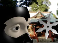 https://arcade-games.space/game/ninja-academy