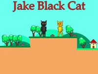 https://arcade-games.space/game/jake-black-cat