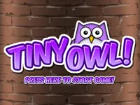 https://arcade-games.space/game/tiny-owl