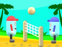 https://arcade-games.space/game/beach-volleyball