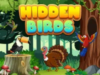 https://arcade-games.space/game/hidden-birds