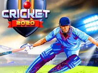 https://arcade-games.space/game/cricket-2020
