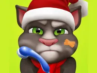 https://arcade-games.space/game/talking-tom-injfdfury