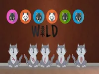 https://arcade-games.space/game/wolf-pup-escape2