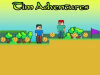 https://arcade-games.space/game/tim-adventures