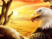 https://arcade-games.space/game/eagle-slide