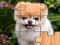 https://arcade-games.space/game/cute-dogs-jigsaw-puzlle