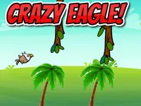 https://arcade-games.space/game/crazy-eagle