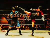 https://arcade-games.space/game/fighters-in-the-ring