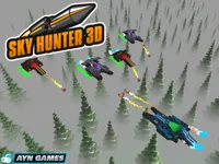 https://arcade-games.space/game/sky-hunter-3d