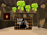 https://arcade-games.space/game/rescue-the-raccoon