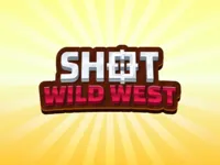 https://arcade-games.space/game/shotwildwest