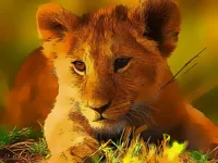 https://arcade-games.space/game/wild-baby-animals-jigsaw