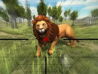 https://arcade-games.space/game/lion-hunting-3d