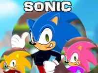 https://arcade-games.space/game/sonic-dress-up