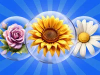 https://arcade-games.space/game/dice-puzzle-flowers