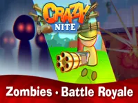 https://arcade-games.space/game/crazynite-io