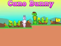 https://arcade-games.space/game/cano-bunny