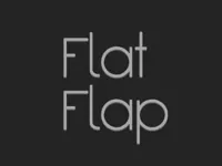 https://arcade-games.space/game/flat-flapp