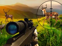 https://arcade-games.space/game/wild-hunter-sniper-buck