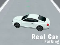 https://arcade-games.space/game/real-car-parking-3d